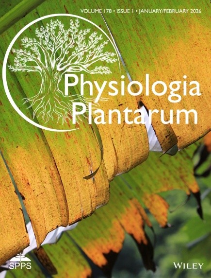 Physiologia plantarum圖片